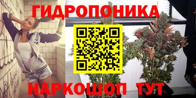 спиды Волгодонск
