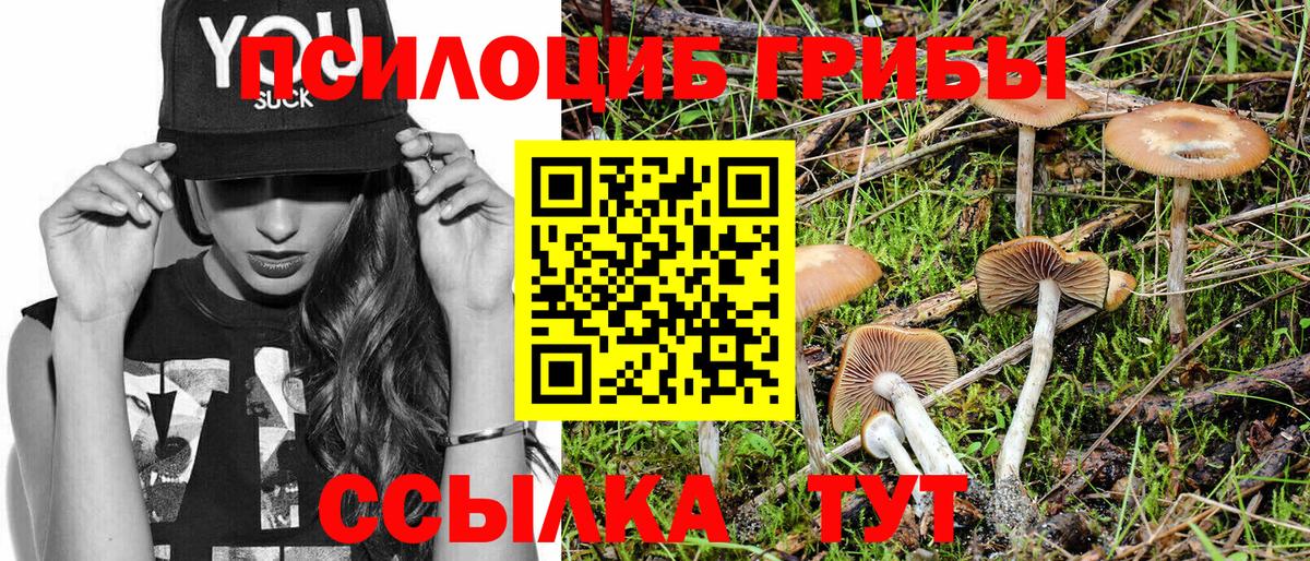 Галлюциногенные грибы мухоморы Вольск