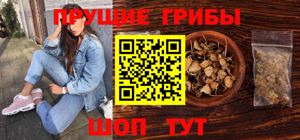 наркота  Галлюциногенные грибы Psilocybine cubensis  Вход с VPN  Вольск 
