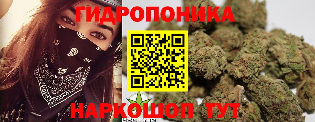 Бошки Шишки конопля  Марихуана ГИДРОПОН  Вход с VPN  Шишки марихуана MAZAR  Конопля ГИДРОПОН  Вольск 
